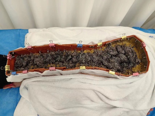 微信图片_20230817102740