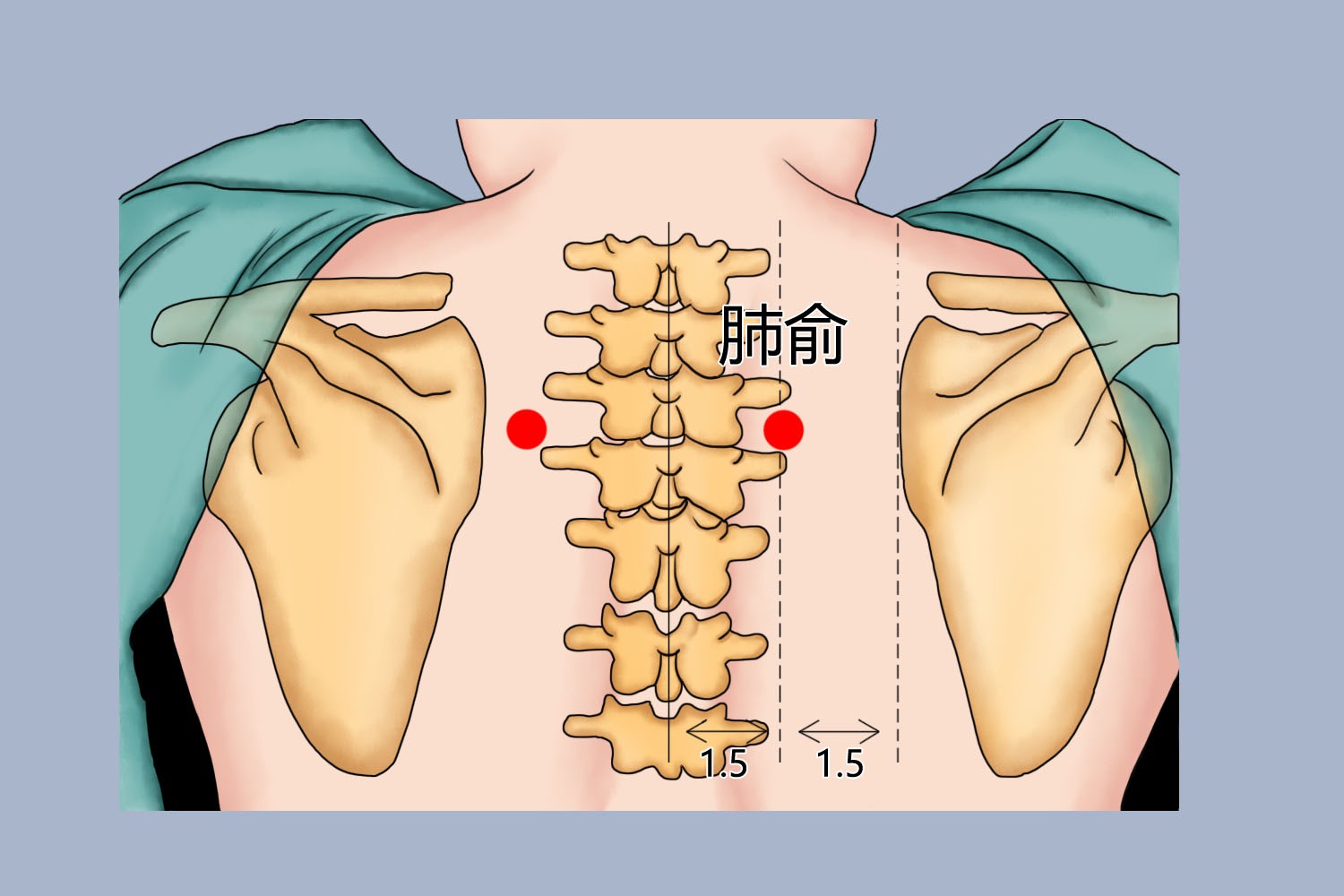 3c7f896c90c7cfca6345bc659f22150d~tplv-be4g95zd3a-image